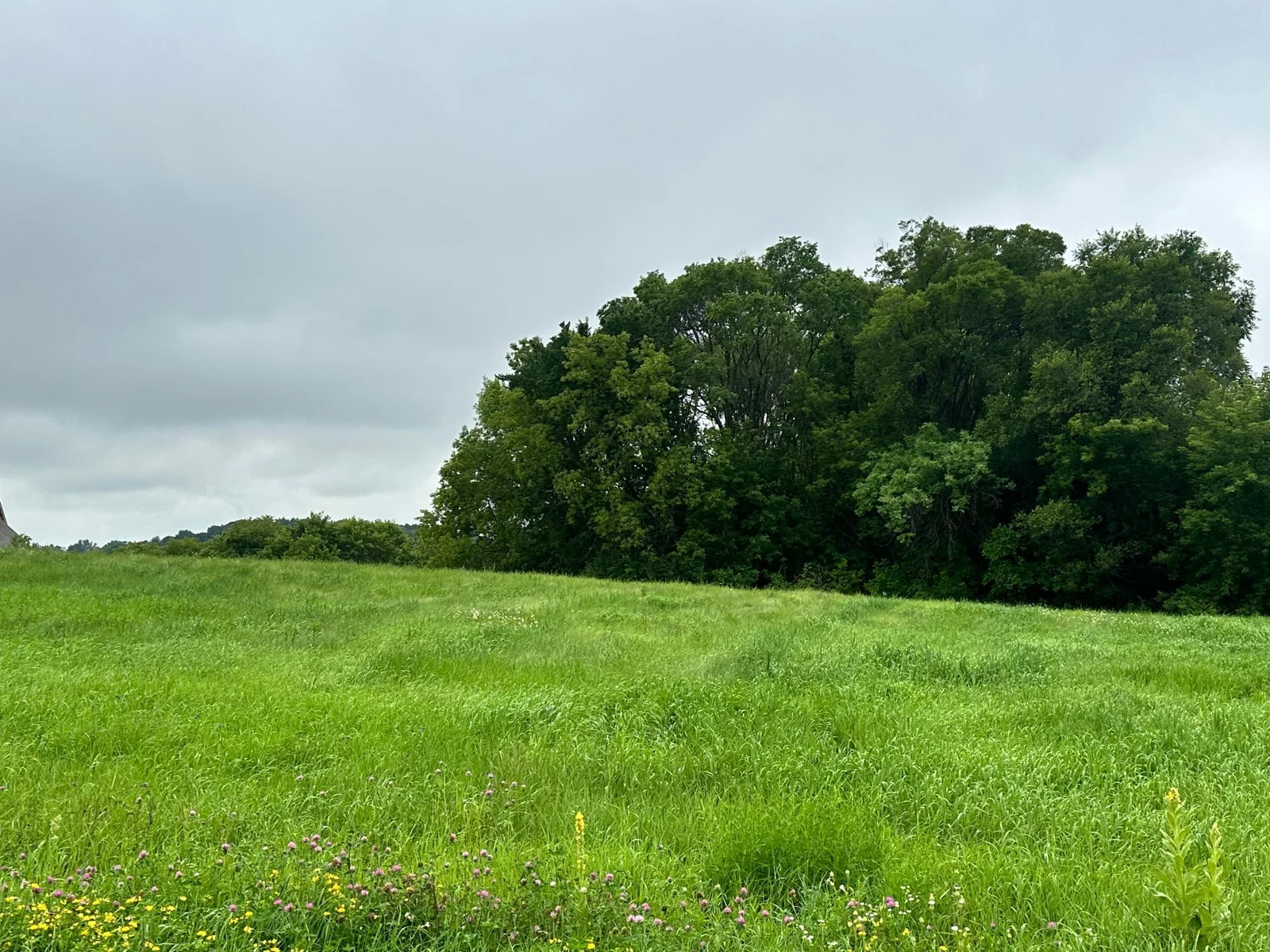 Beautiful Rolling land with Lake views!