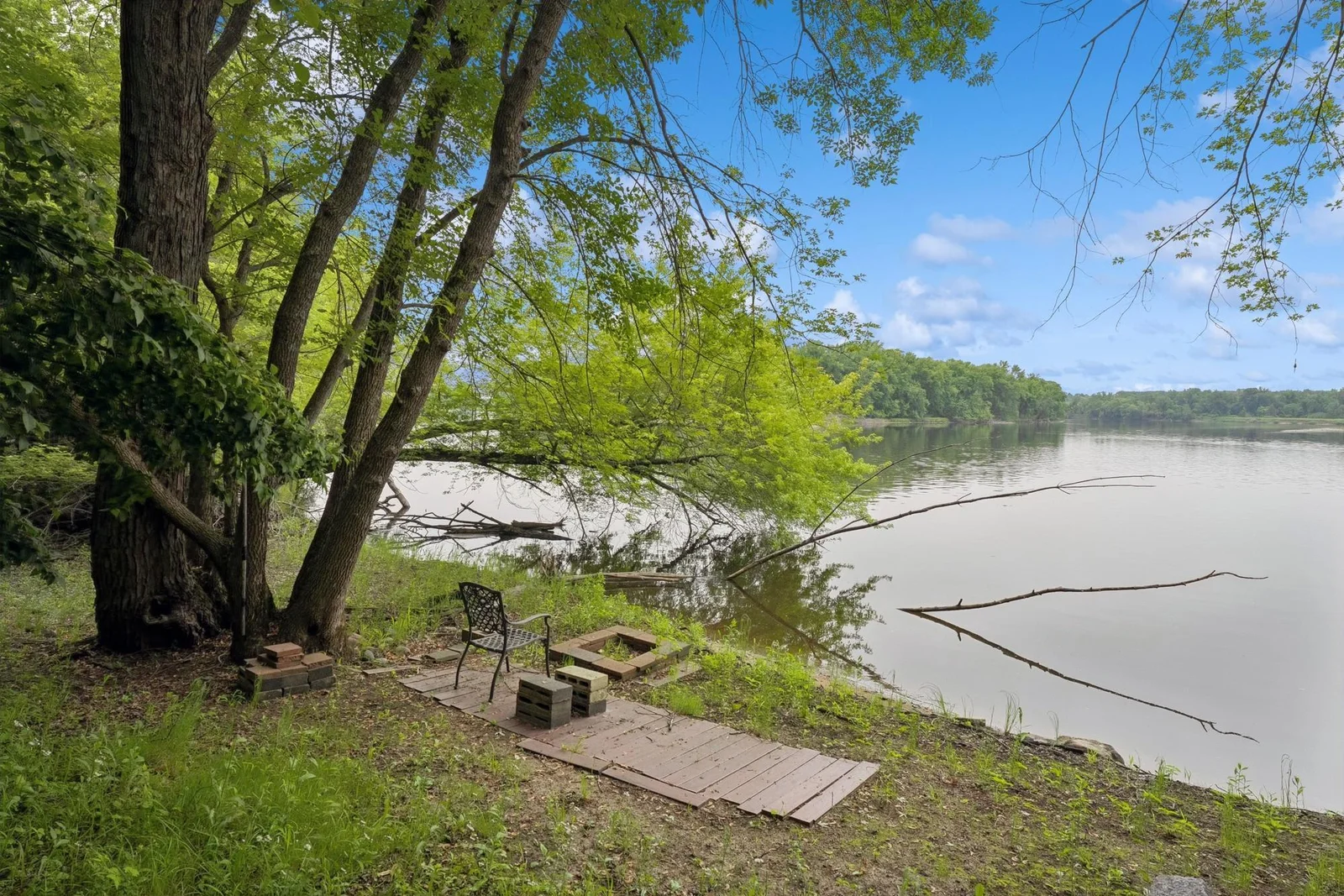 Shoreline on the river