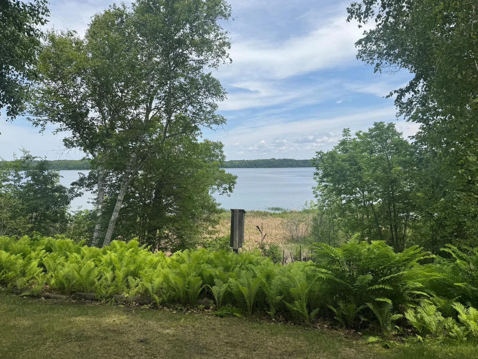 lake.jpg