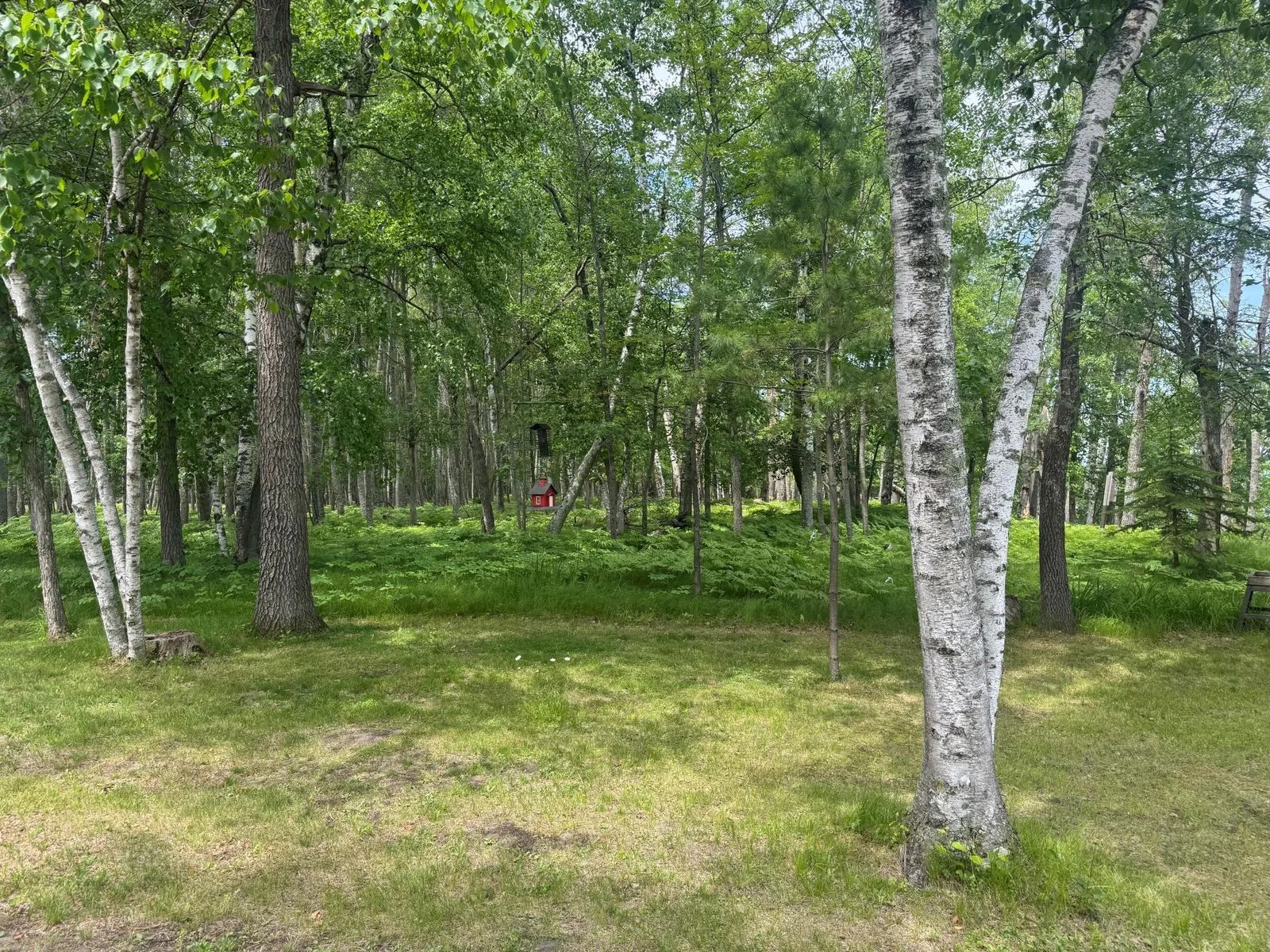 Side Yard /very private