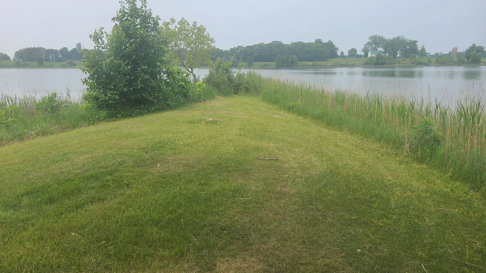20250611_130204.jpg