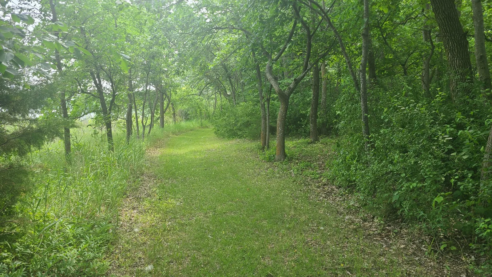 20250611_125638.jpg