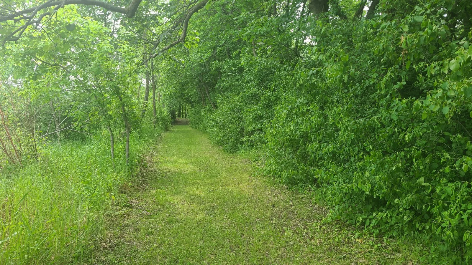 20250611_125716.jpg