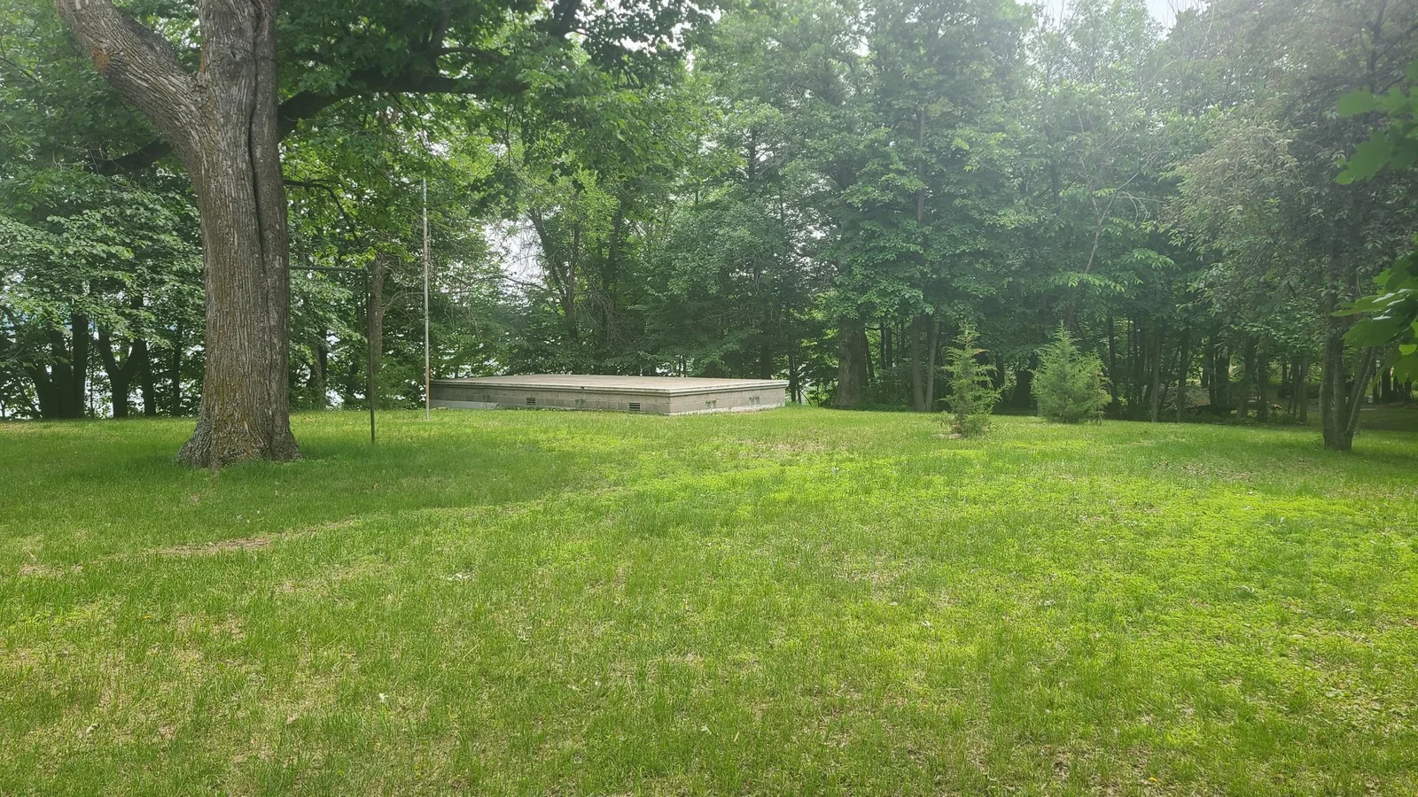 20250611_125245.jpg