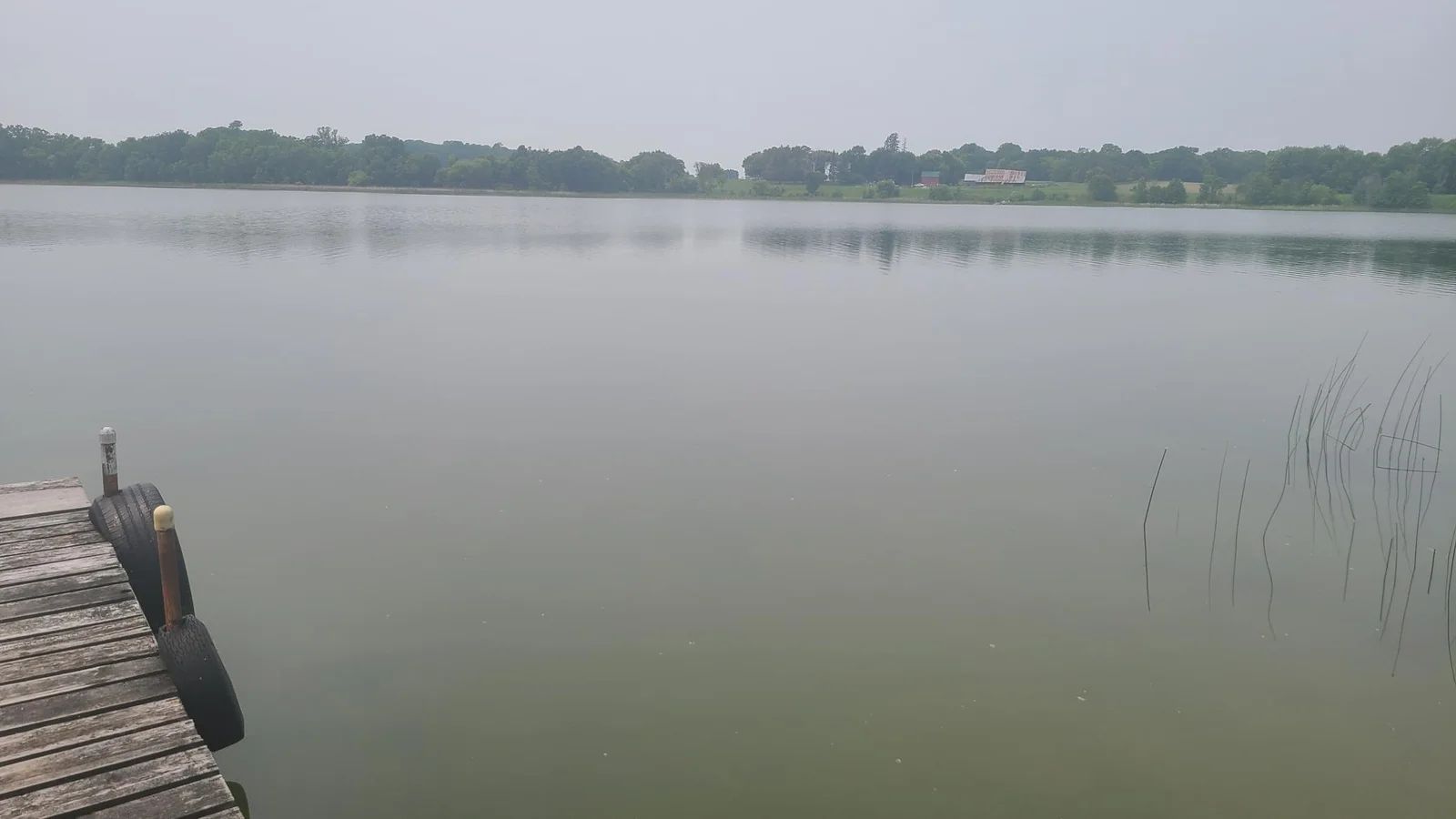 20250611_130058.jpg