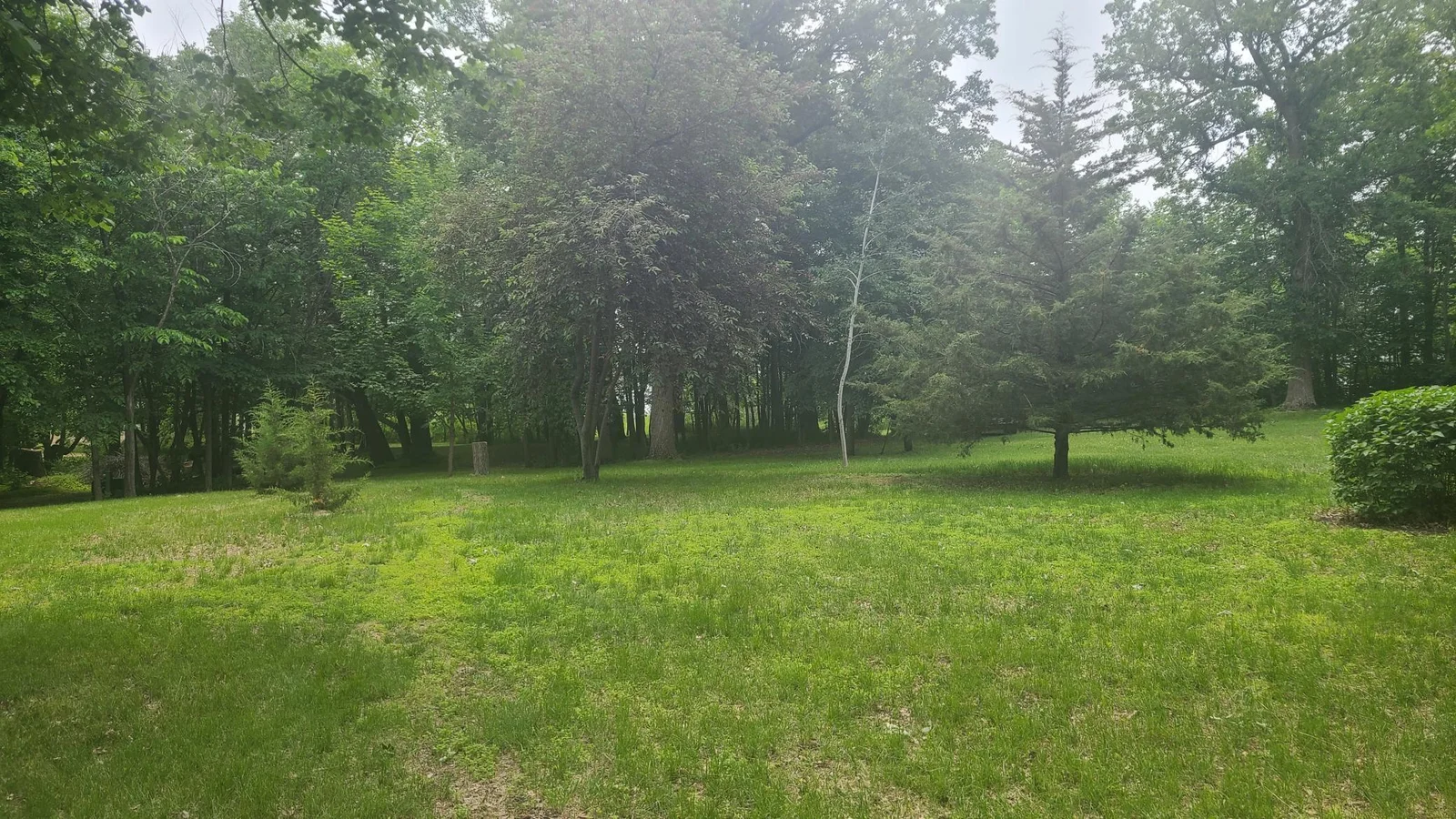 20250611_125303.jpg