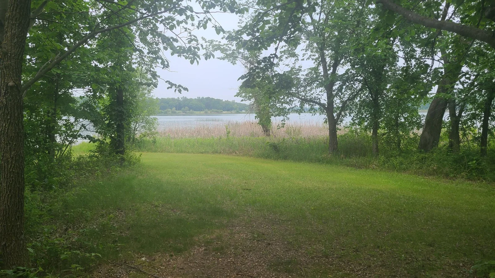 20250611_125424.jpg