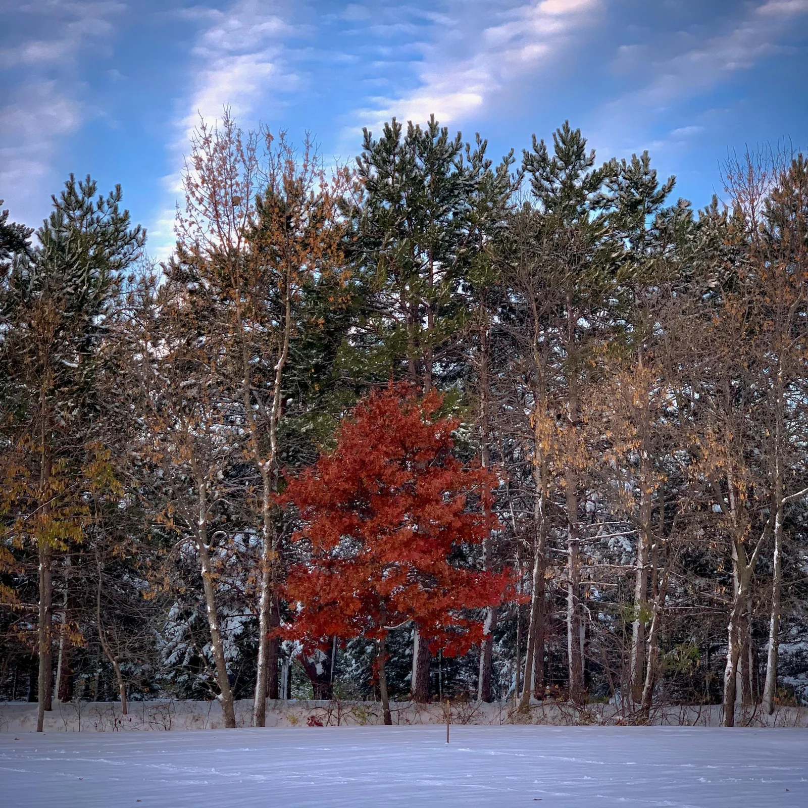 Thumbnail photo 22