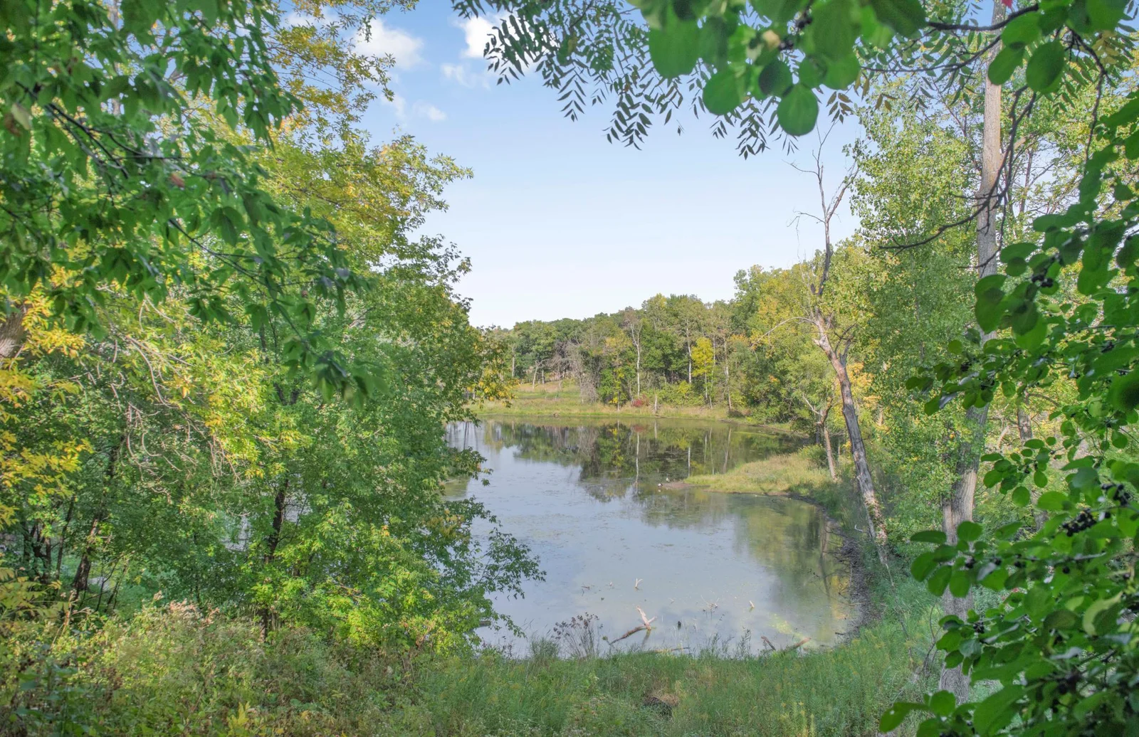 Pond
