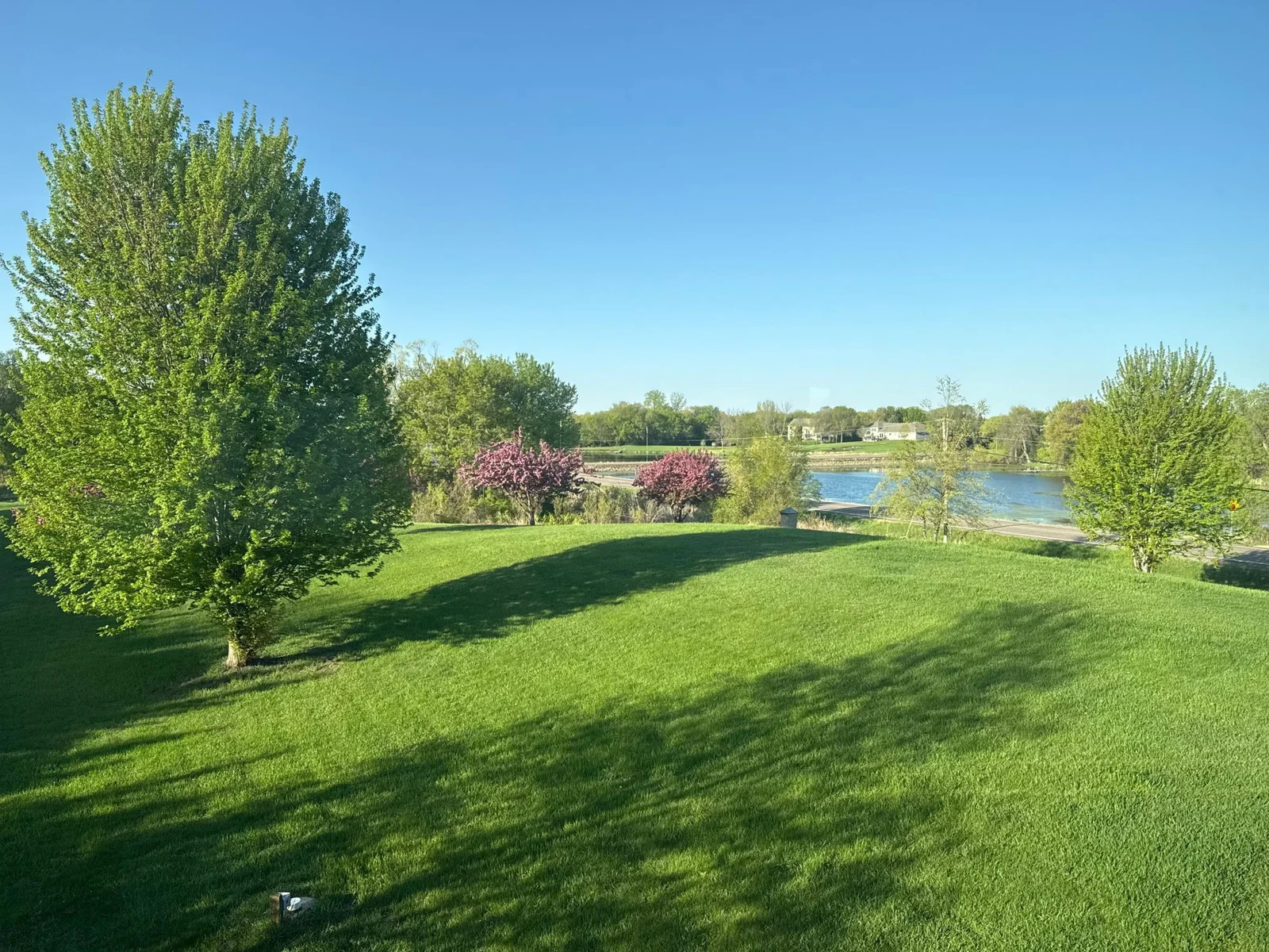 2.95 acre yard