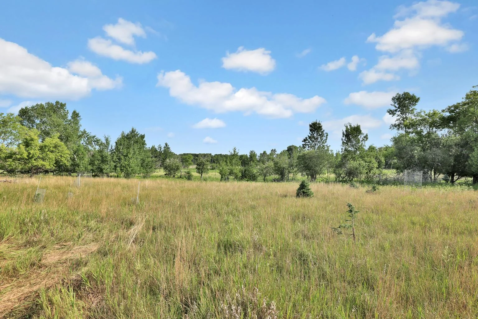 Open grassy meadow up front.