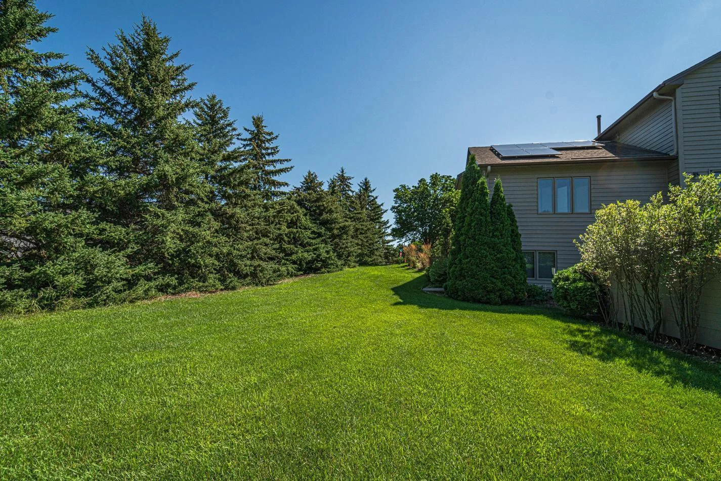 Side & Backyards