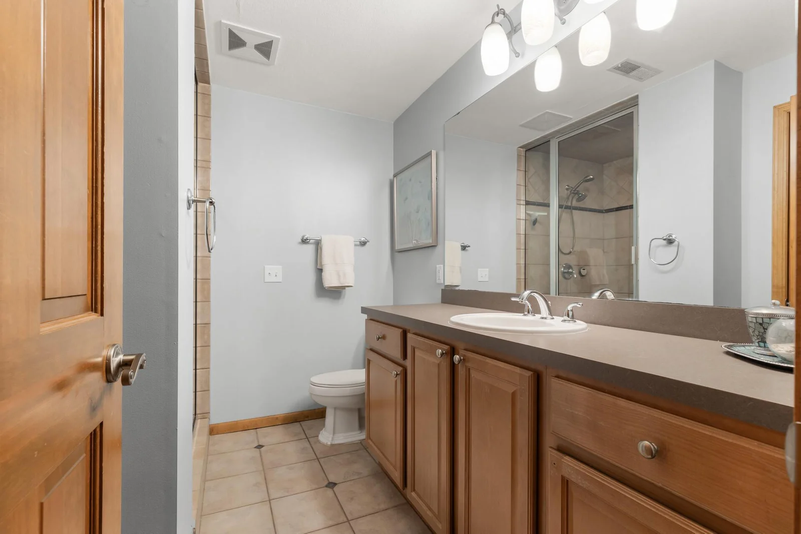 Lower level bathroom #3 with walk in shower.