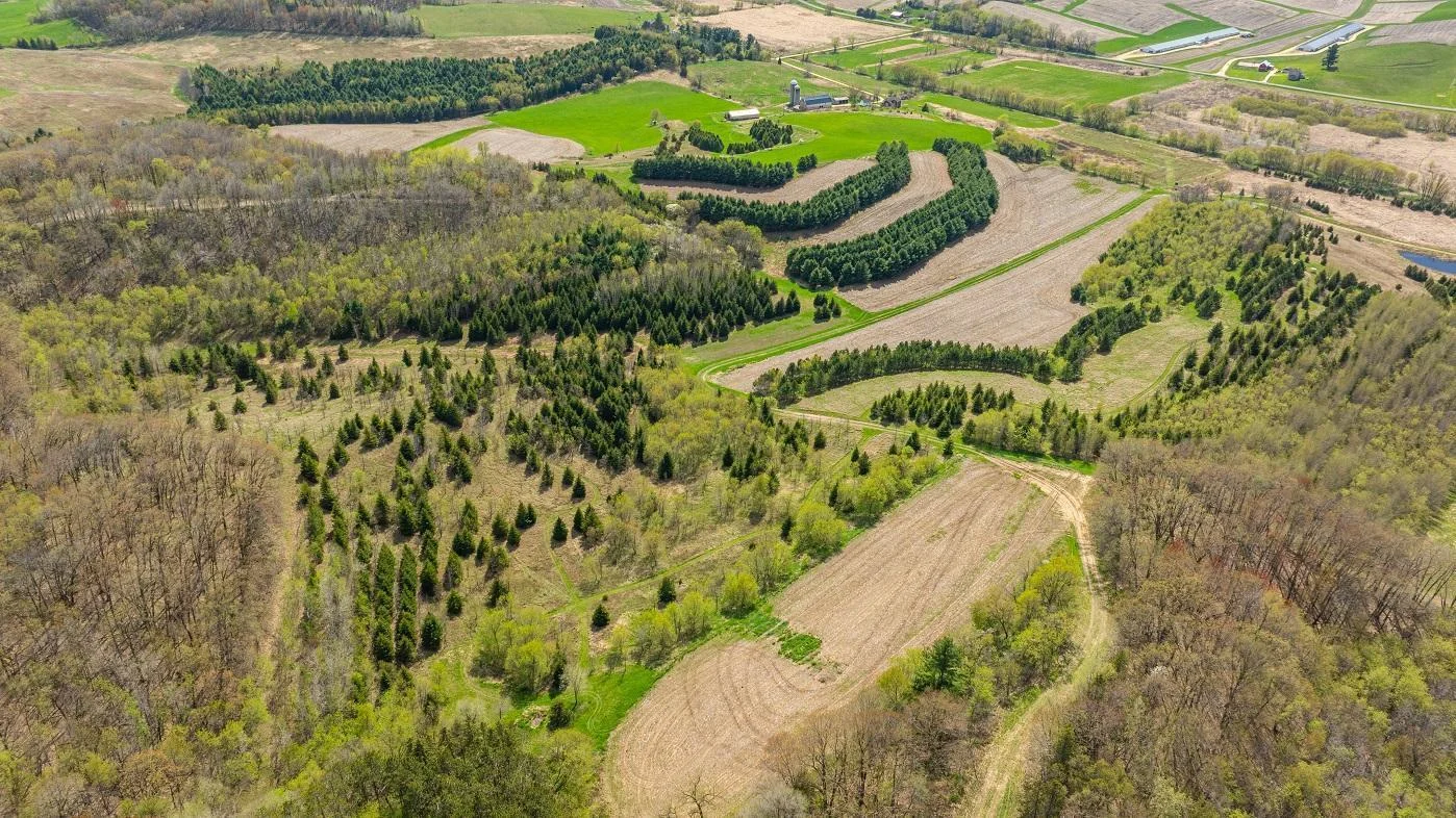 DJI_20250505150926_0944_D.jpg