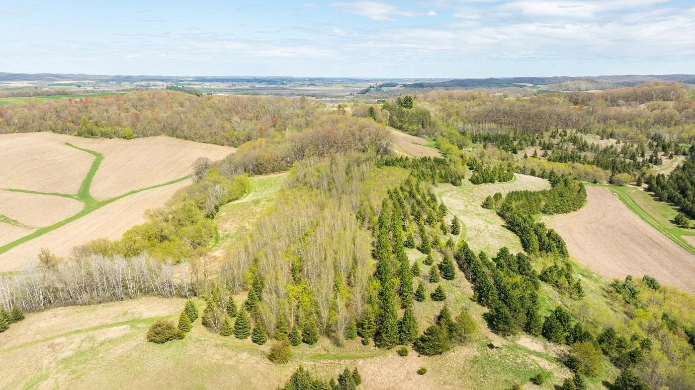 DJI_20250505150510_0930_D.jpg