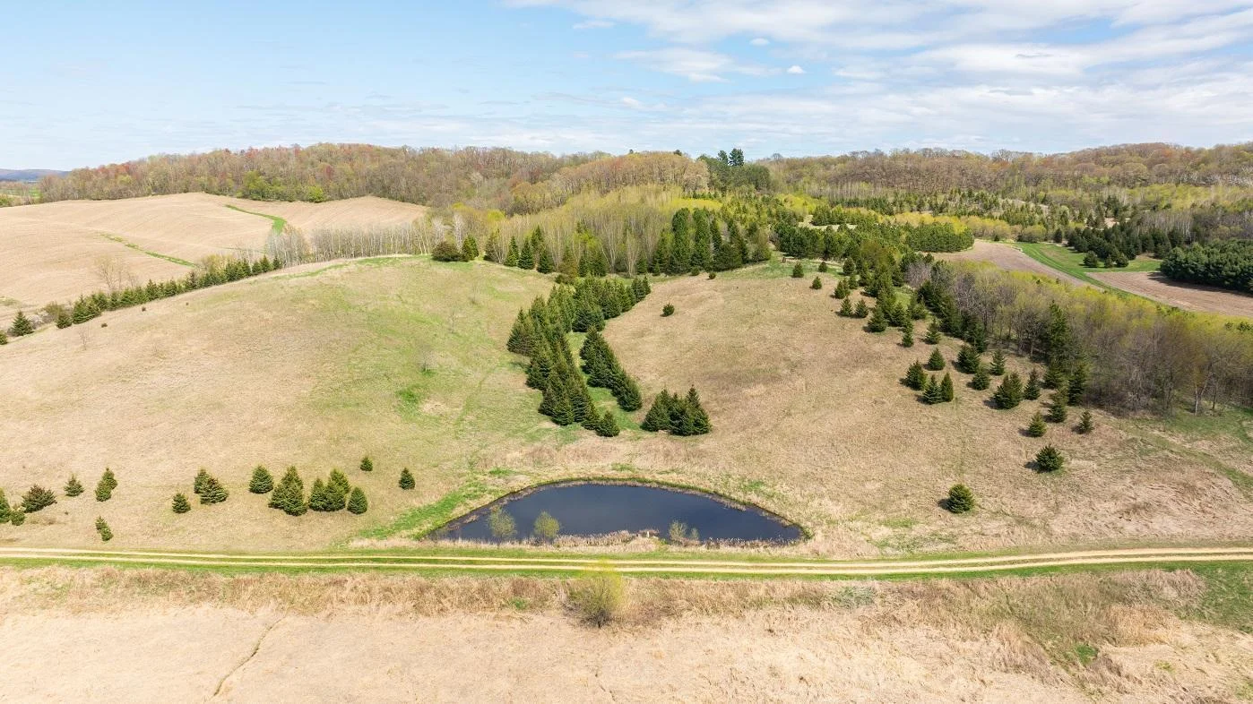 DJI_20250505150457_0929_D.jpg