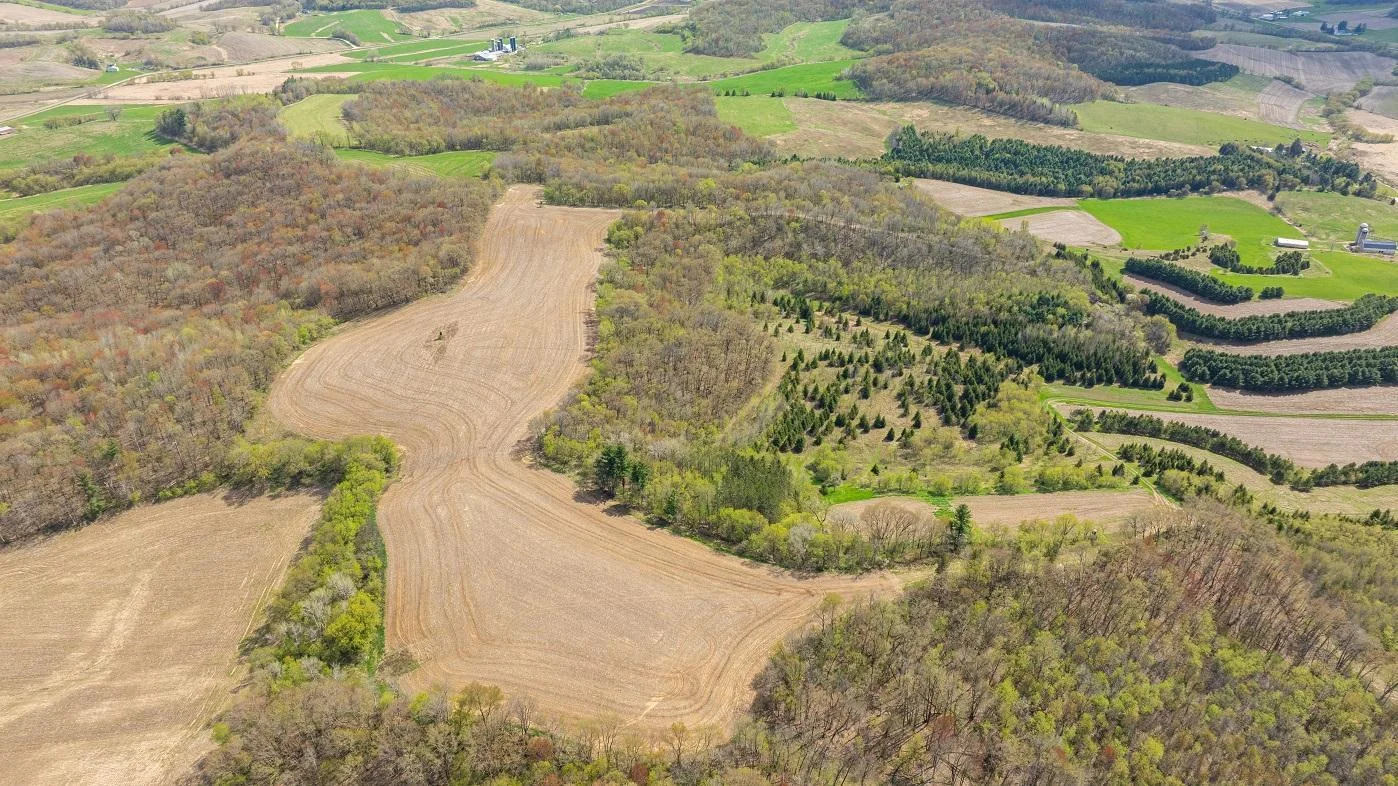 DJI_20250505150819_0940_D.jpg
