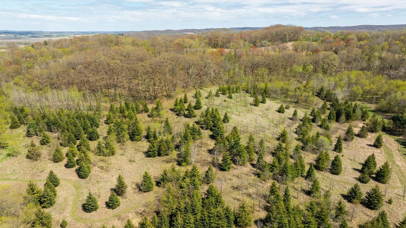 DJI_20250505144546_0878_D.jpg