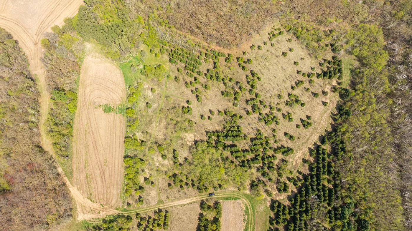 DJI_20250505150701_0936_D.jpg