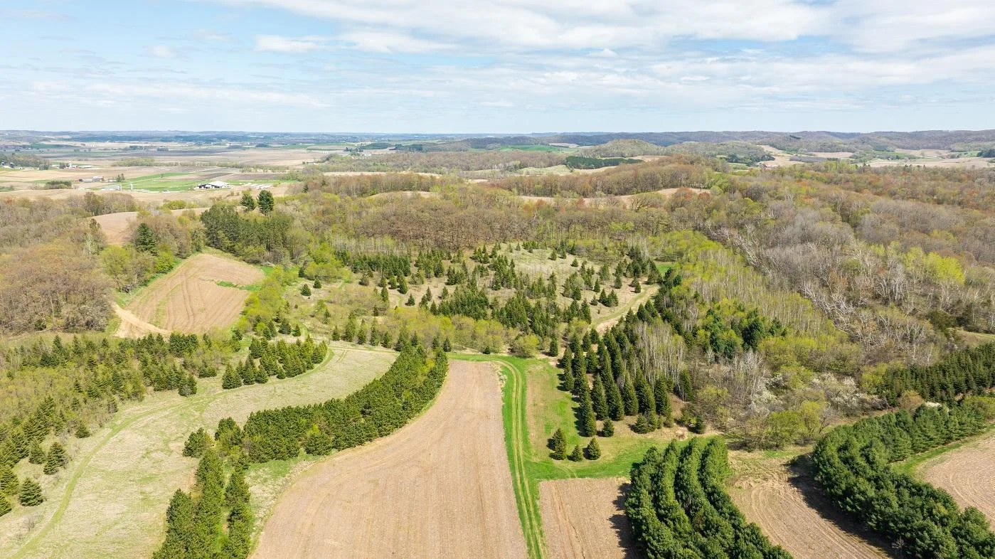 DJI_20250505145811_0911_D.jpg