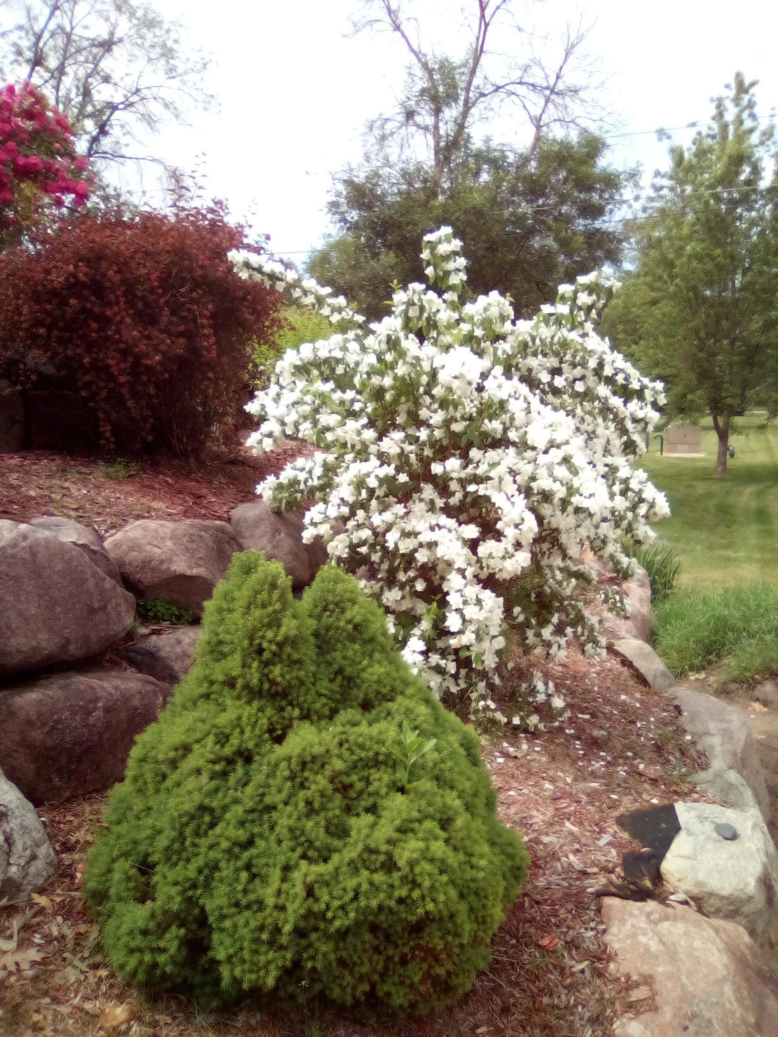 Thumbnail photo 72