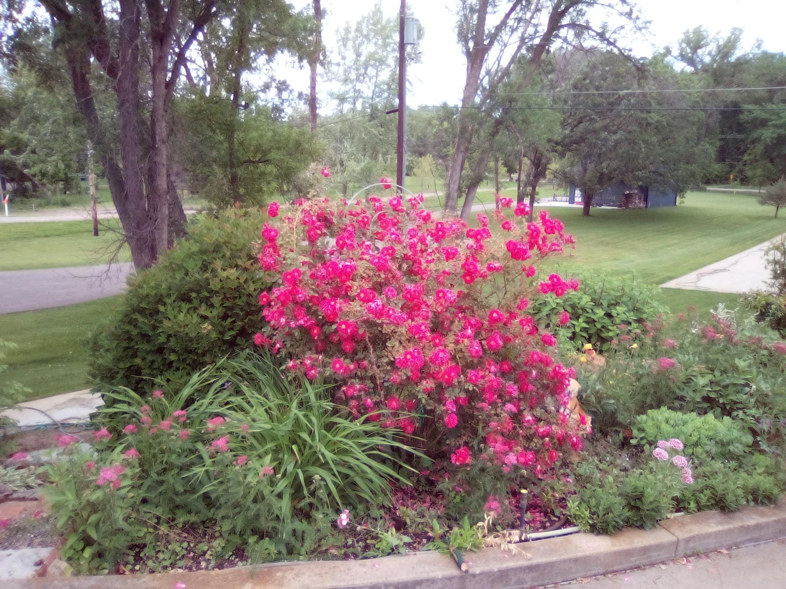 Thumbnail photo 78