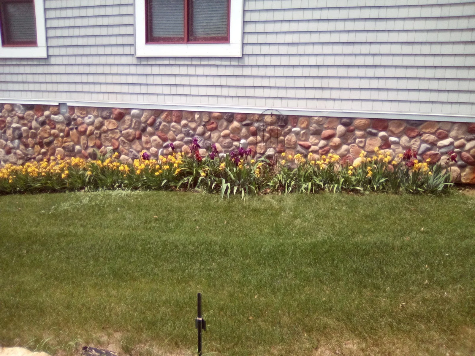Thumbnail photo 80