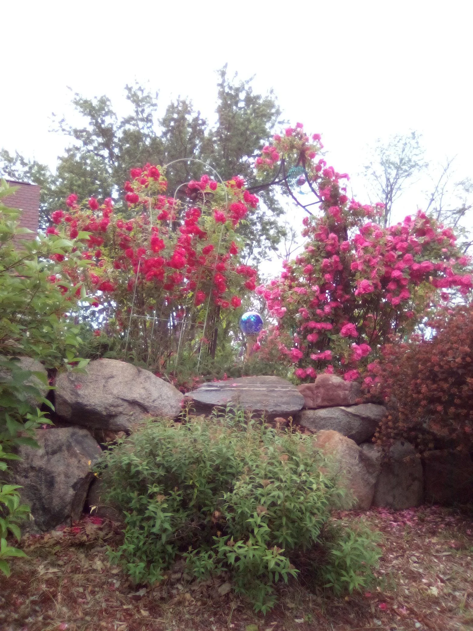 Thumbnail photo 73