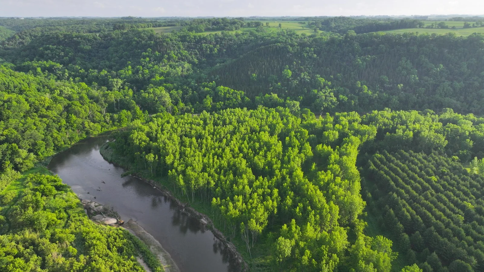 DJI_20250617015424_0612_D.JPG