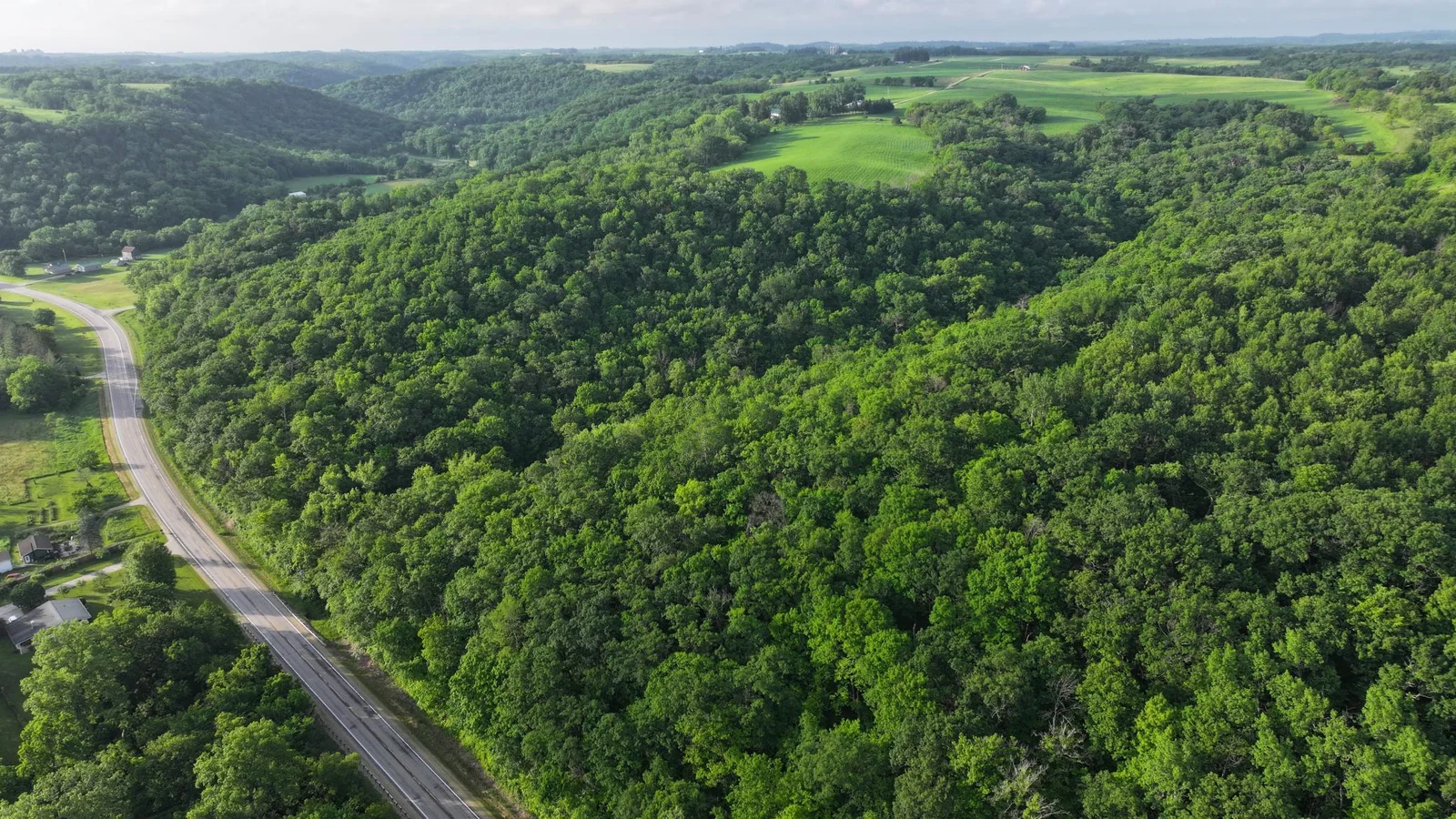 DJI_20250617020243_0627_D.JPG