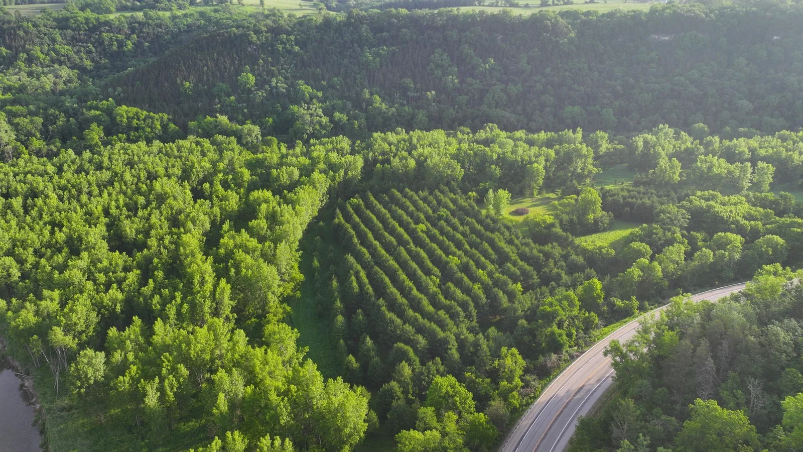 DJI_20250617015435_0613_D.JPG