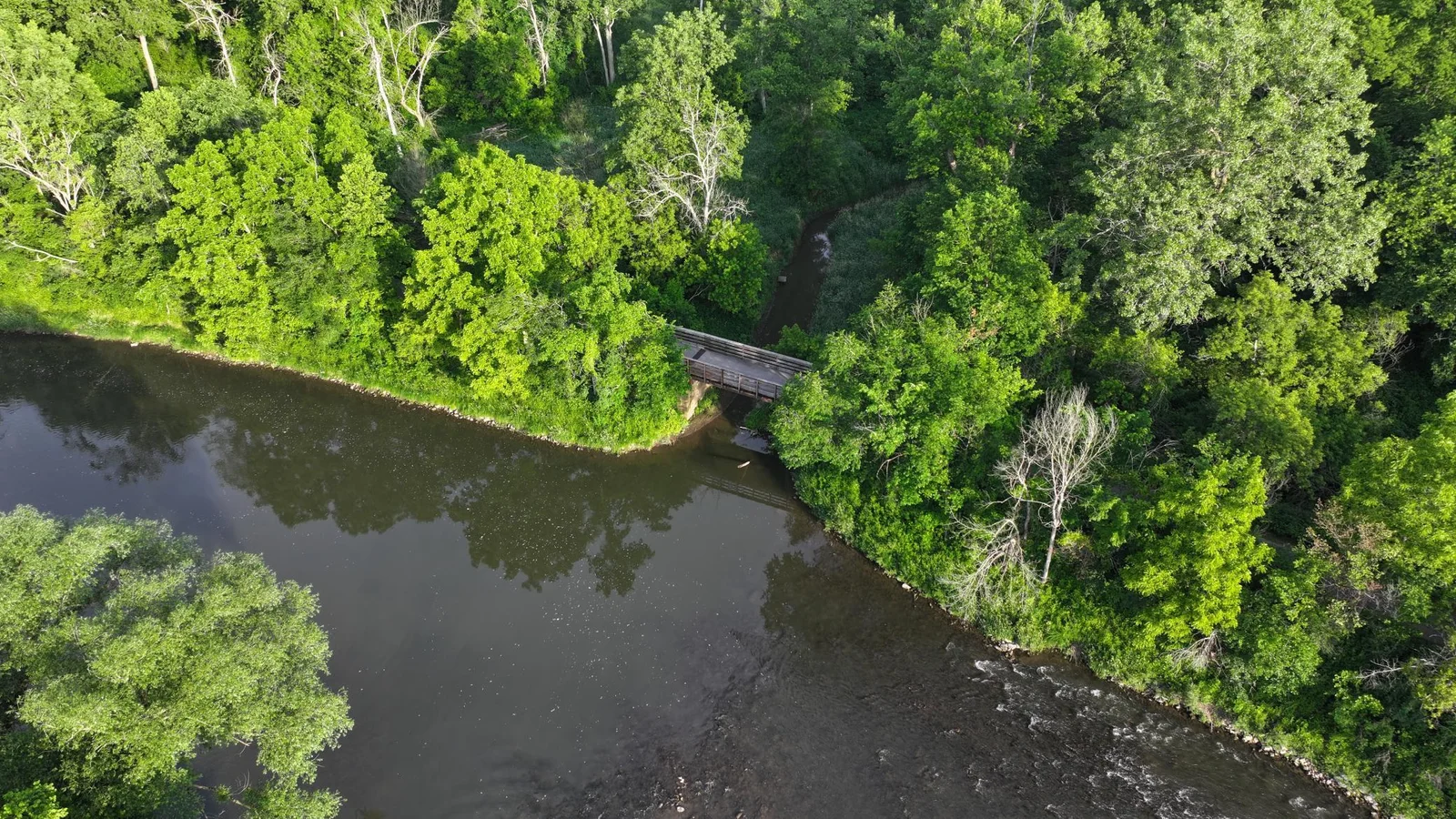 DJI_20250617015610_0616_D.JPG