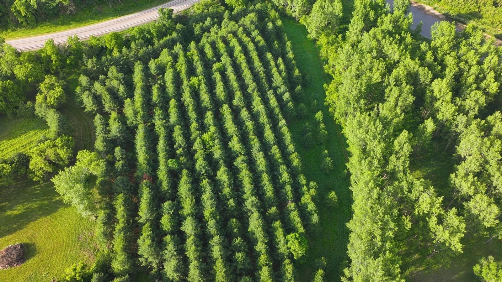 DJI_20250617021028_0636_D.JPG