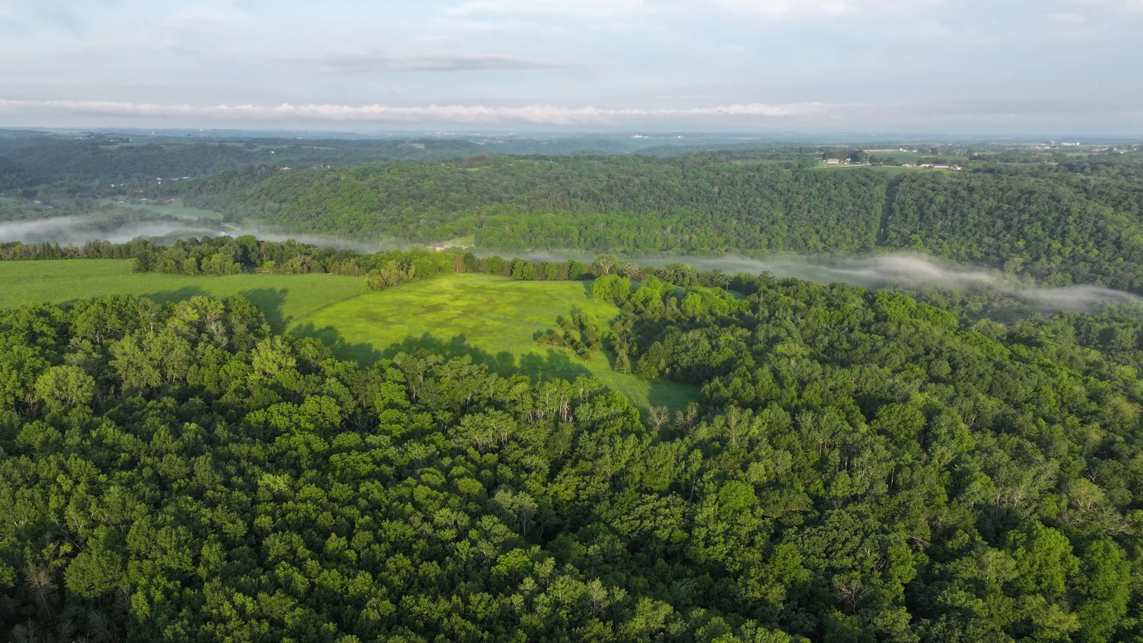DJI_20250617011716_0587_D.JPG