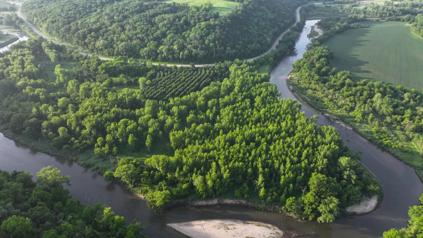 DJI_20250617014150_0595_D.JPG