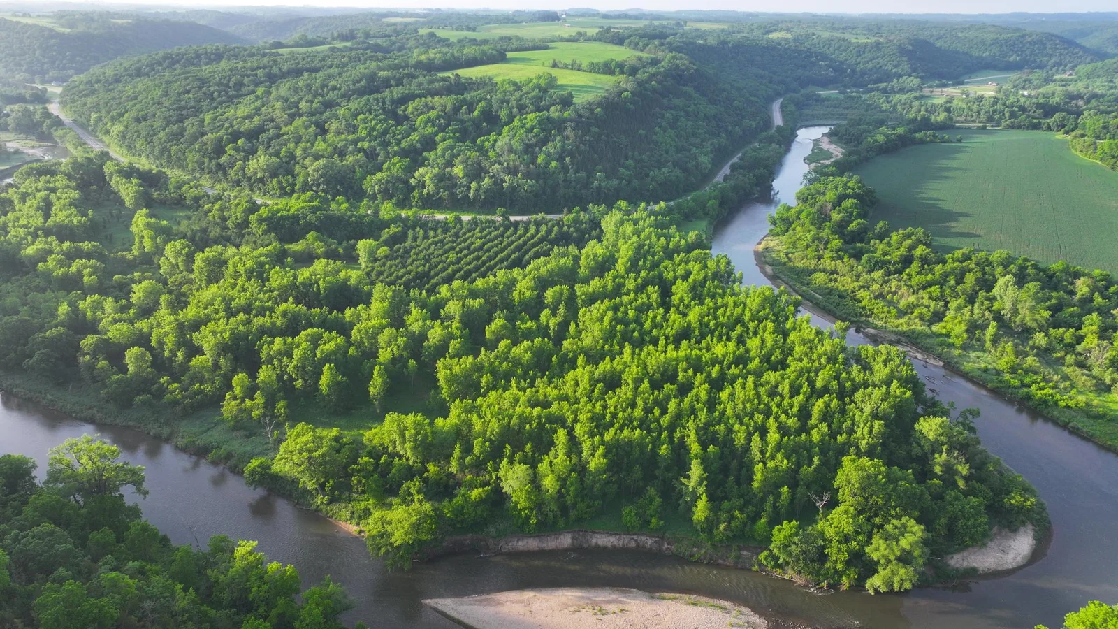 DJI_20250617014200_0596_D.JPG