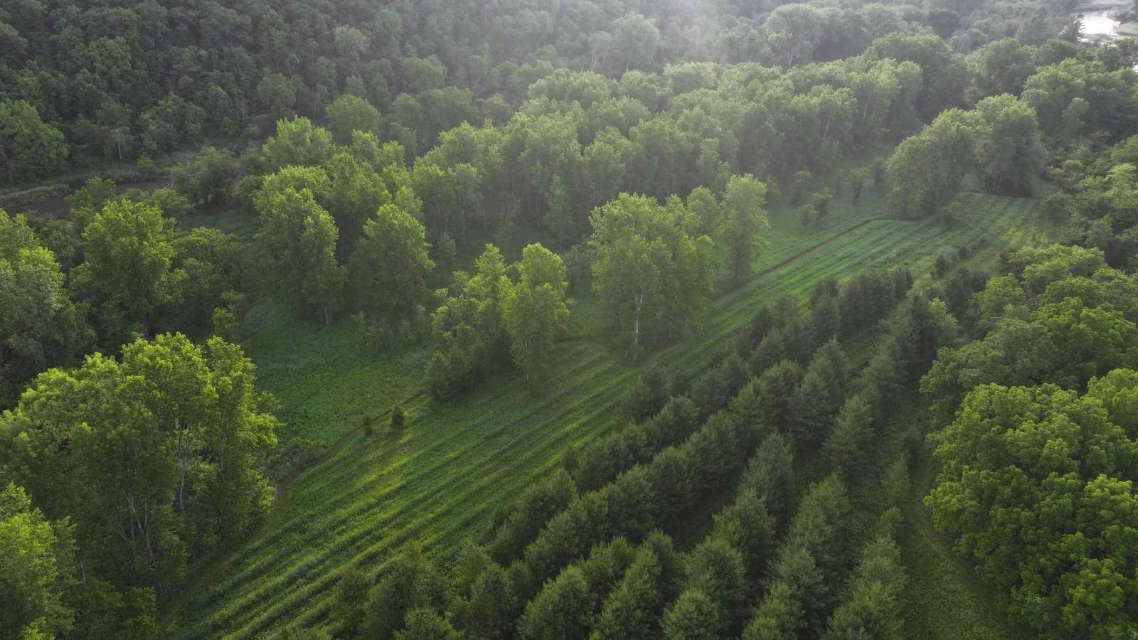 DJI_20250617015115_0607_D.JPG