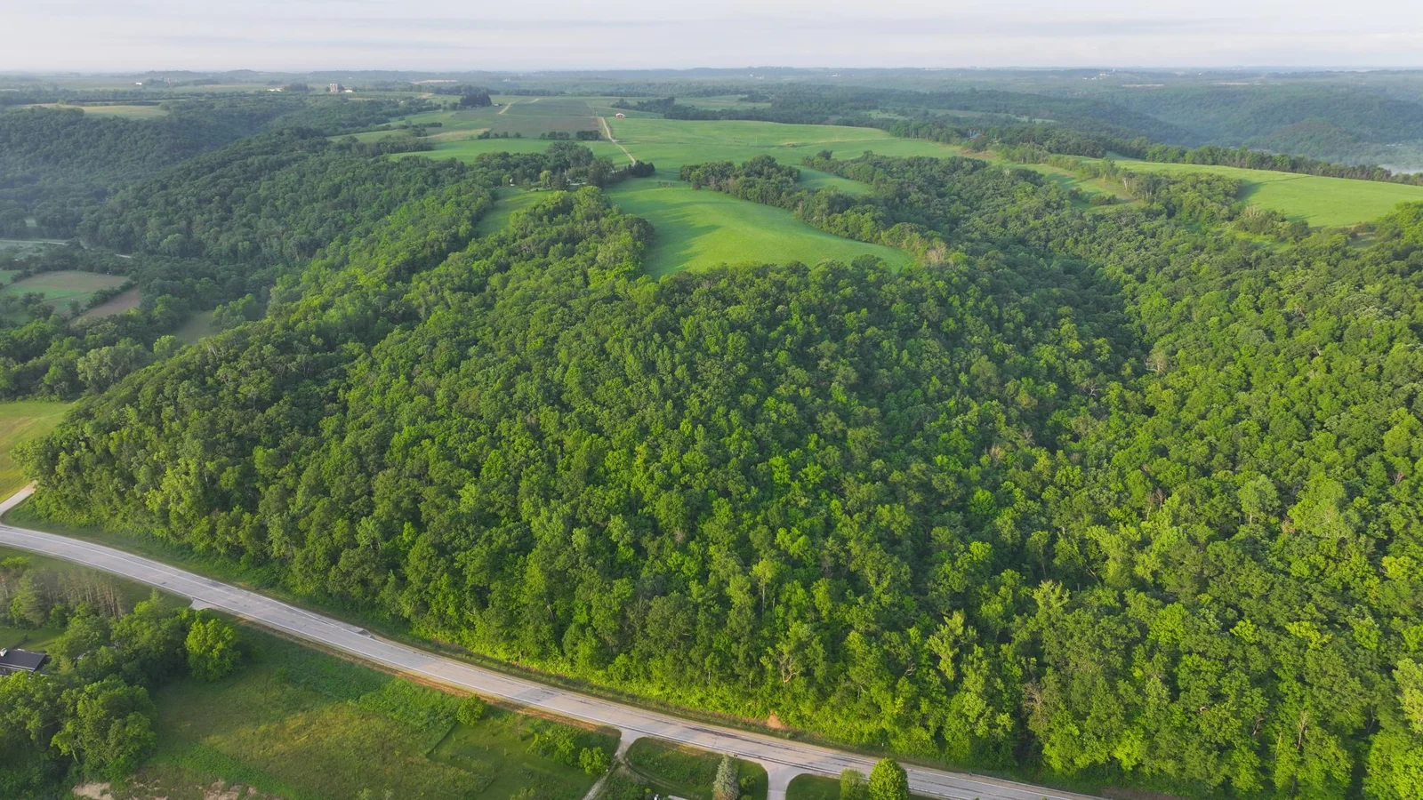 DJI_20250617011835_0588_D.JPG