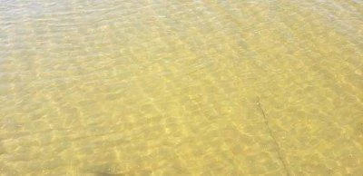 Hard sand bottom lakeshore
