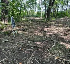 Thumbnail photo 45