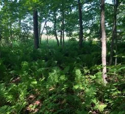 Thumbnail photo 43