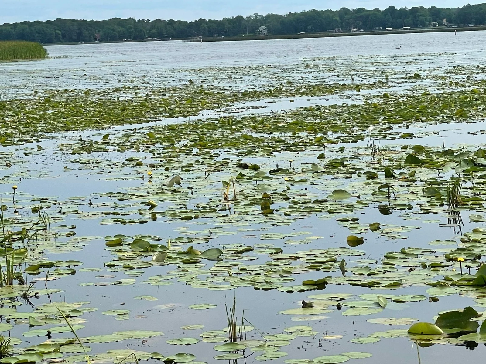 Mille Lacs Lake Access