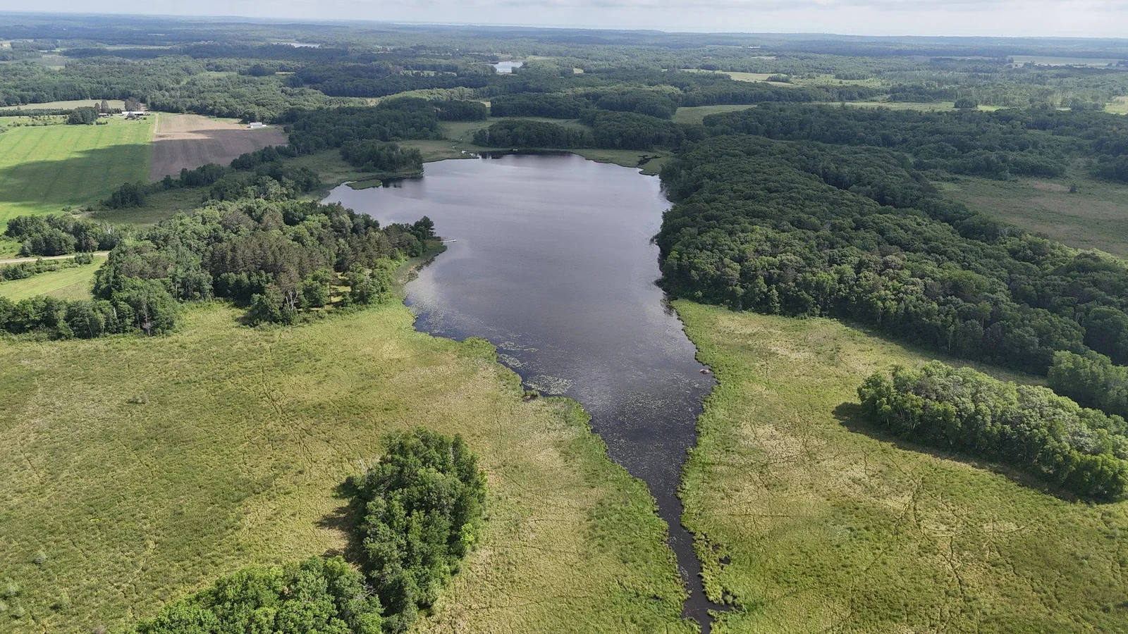 DJI_20250617100141_0115_D.JPG