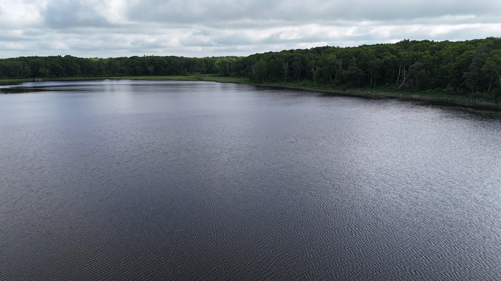DJI_20250617095646_0103_D.JPG