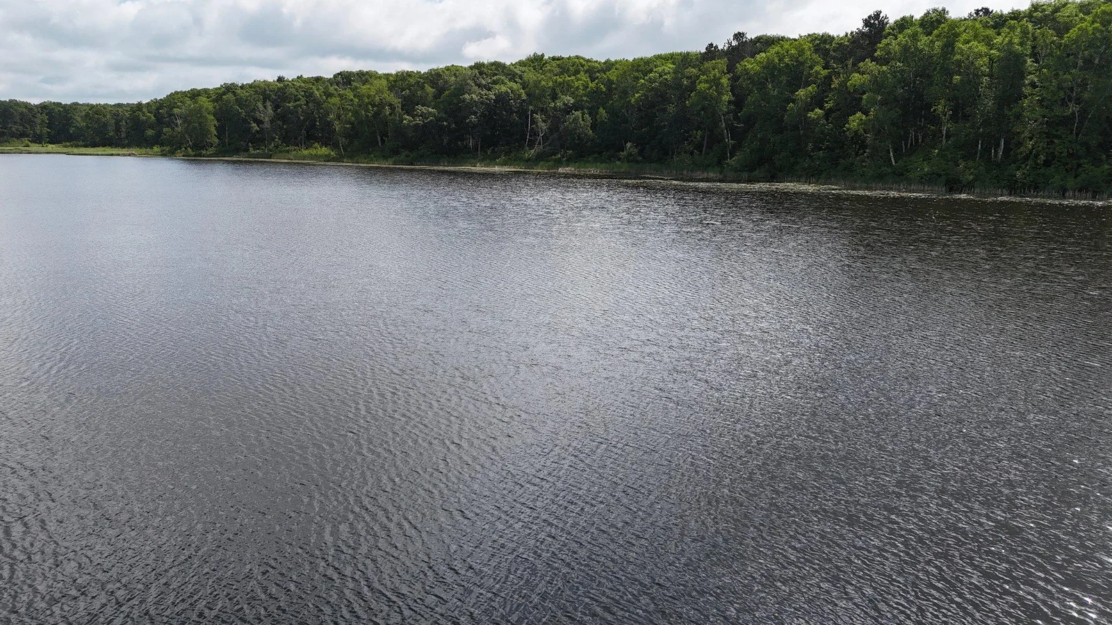 DJI_20250617100410_0126_D.JPG