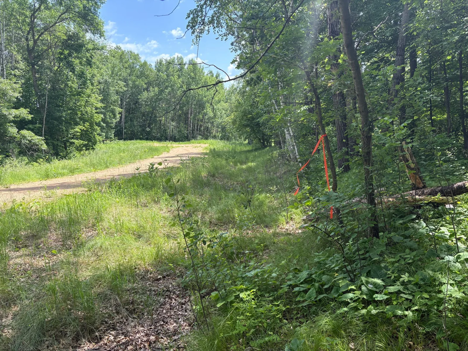 located on a dead end road