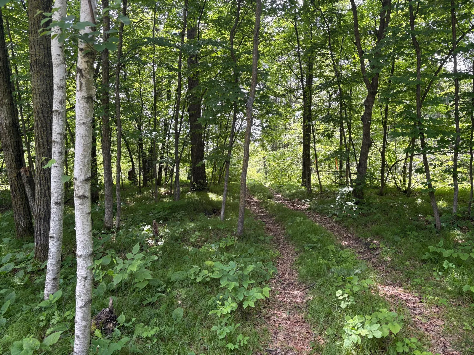 trail on property