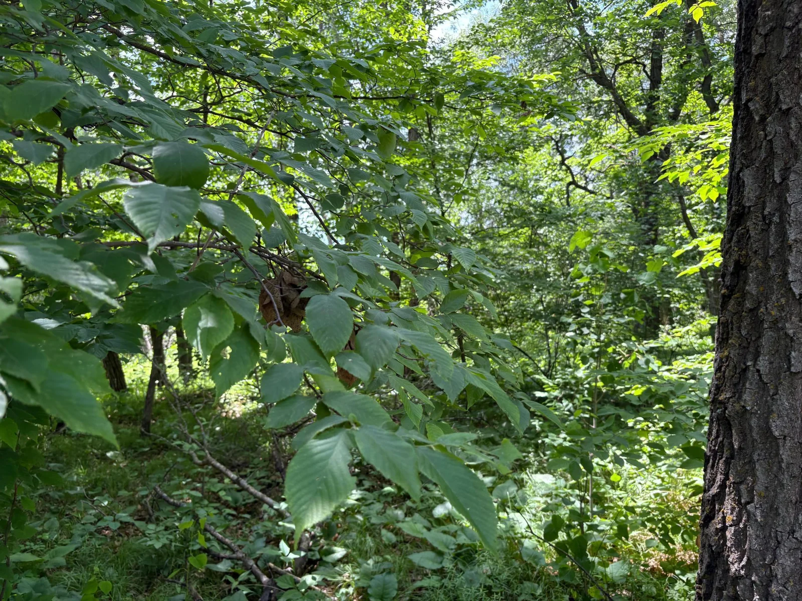 Thumbnail photo 5