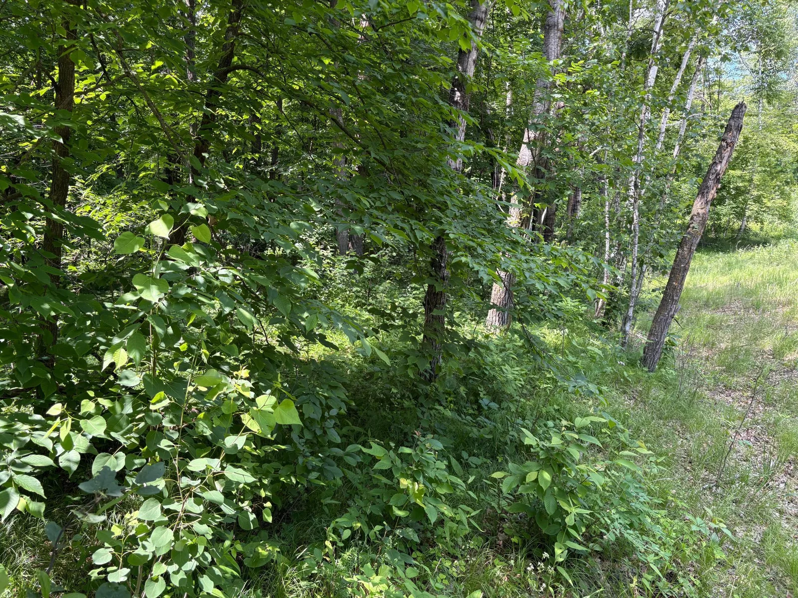 Thumbnail photo 6