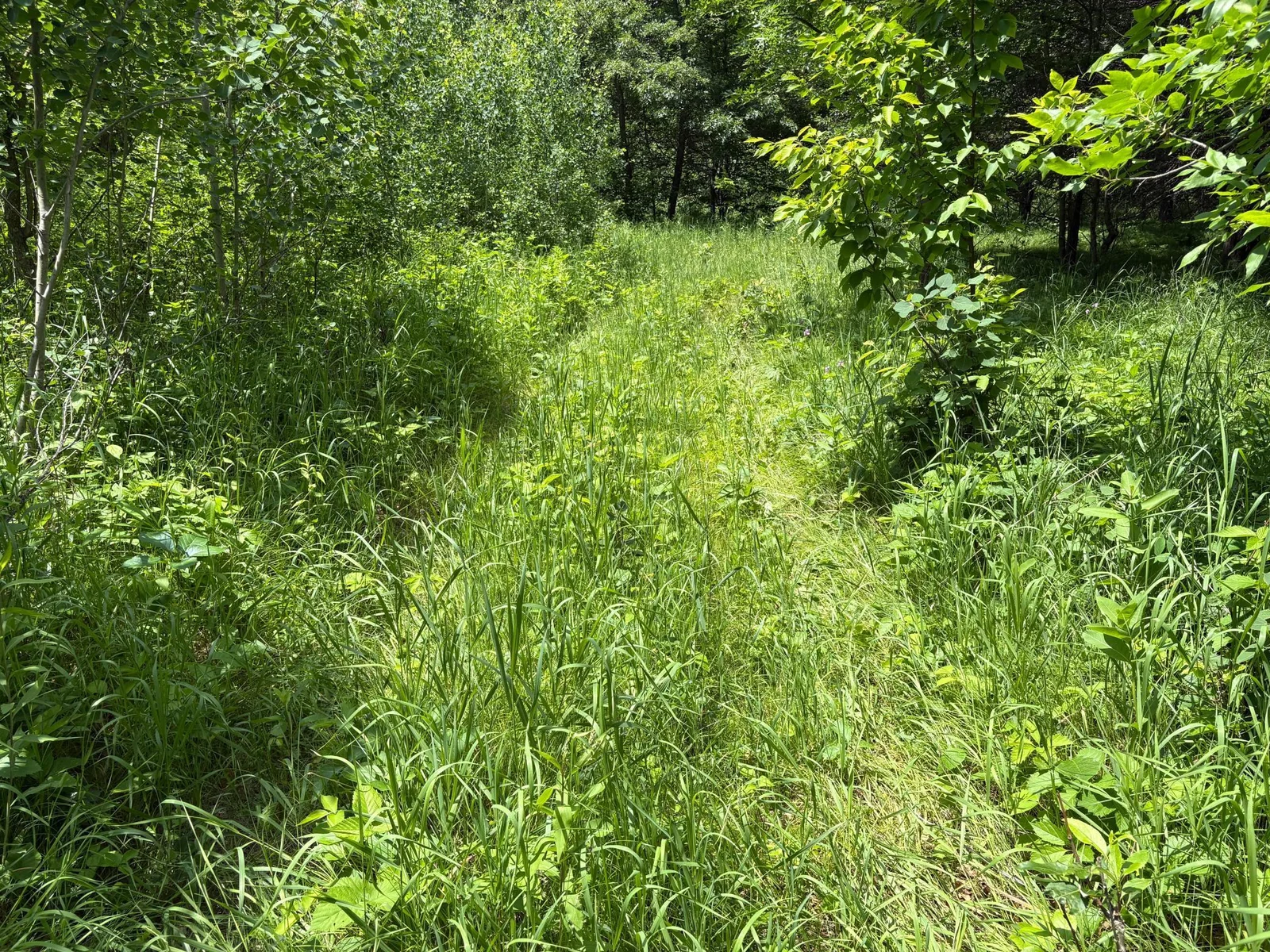 trail crosses property